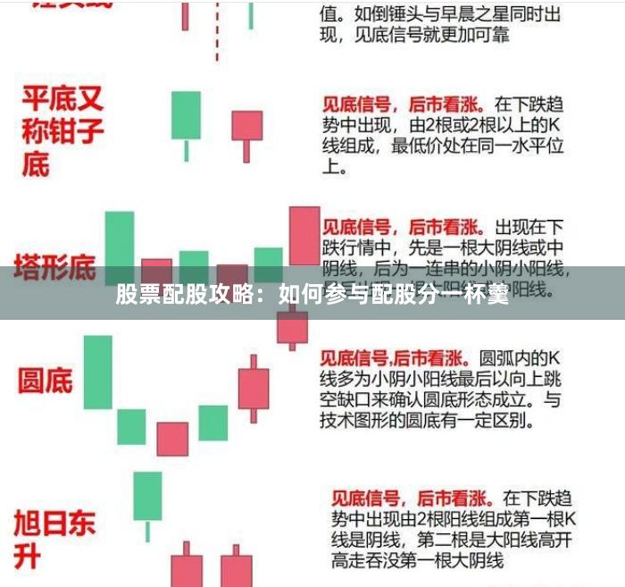 股票配股攻略：如何参与配股分一杯羹